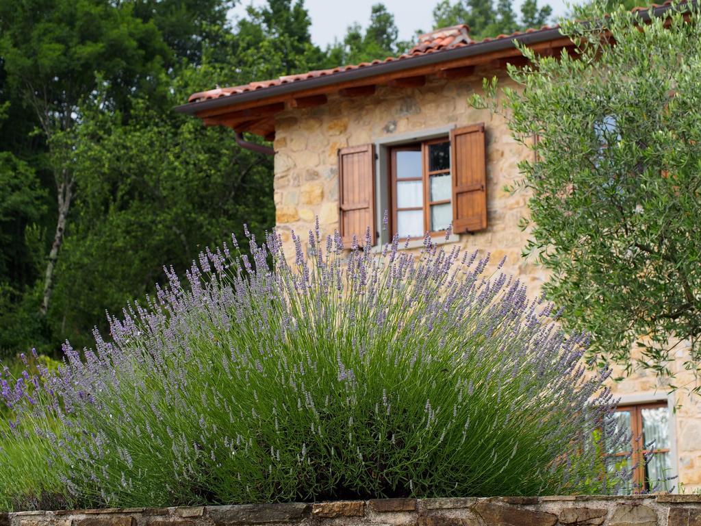 ポントレーモリ Il Giardino Di Rosmarino Bed & Breakfast エクステリア 写真